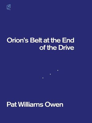 cover image of Orion's Belt at the End of the Drive
